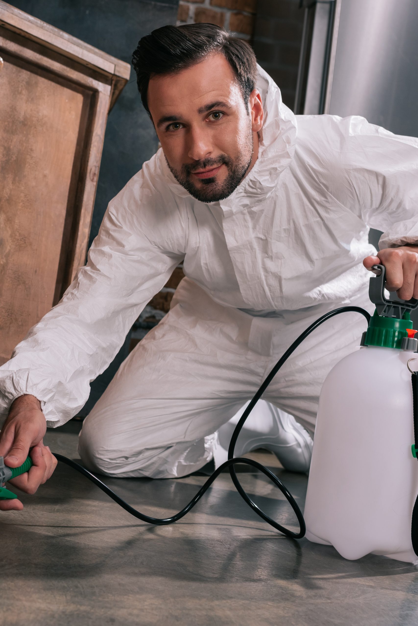 Wood Pest Inspection