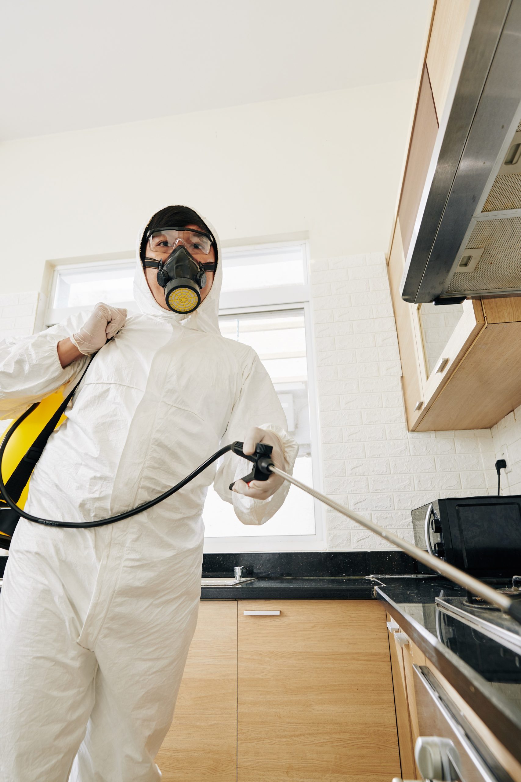 Kitchen Pest Inspection