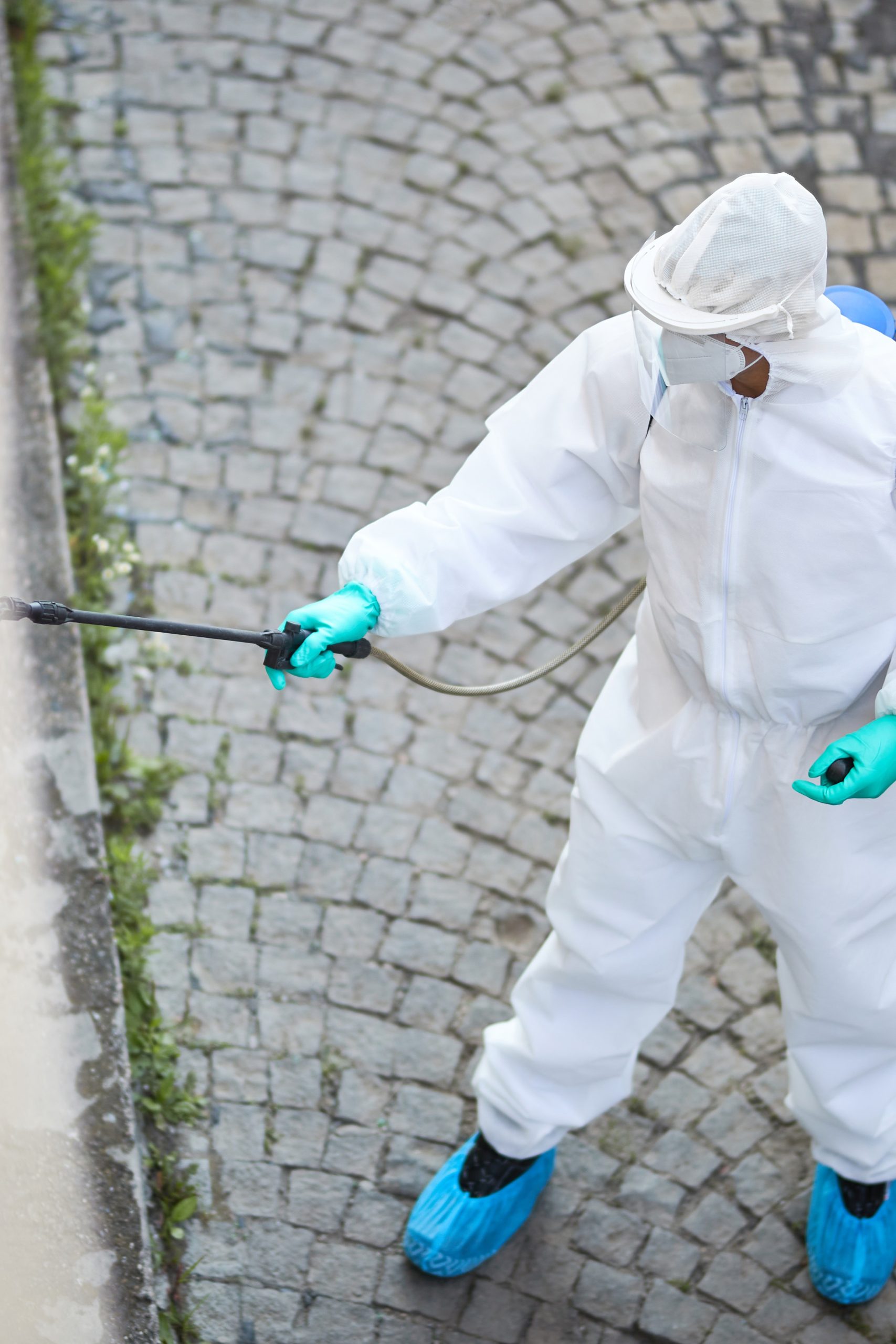 External Pest Control